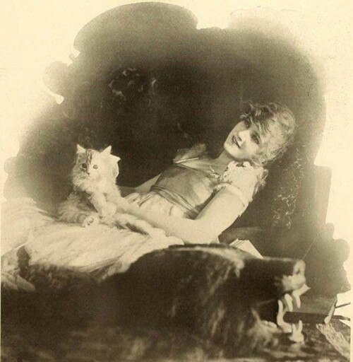 Olden days kitty
