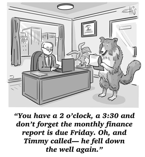 Busy day