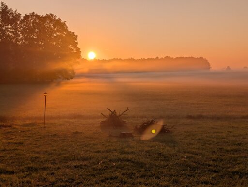 image of a sunrise with a fire pit and a tall lamp with trees on the left and more trees on the distant, the sun peeks above the trees in the distance and beams through the fog