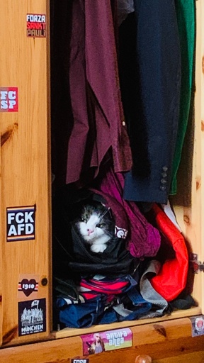 A fluffy cat peeks out from a pile of clothes inside a wooden wardrobe. Several colorful garments are visible, along with various stickers on the wardrobe's surface.