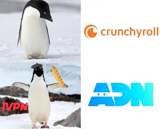 Penguin sad with Crunchyroll then penguin with beret, baguette and IVPN happy with ADN!