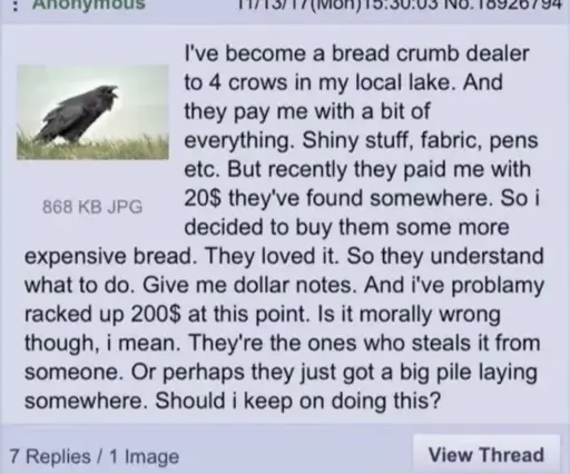 I've become a bread crumb dealer to 4 crows in my local lake. And they pay me with a bit of everything. Shiny stuff, fabric, pens etc. But recently they paid me with 20$ they've found somewhere. So i decided to buy them some more expensive bread. They loved it. So they understand what to do. Give me dollar notes. And i've problamy racked up 200$ at this point. Is it morally wrong though, i mean. They're the ones who steals it from someone. Or perhaps they just got a big pile laying somewhere. Should i keep on doing this?
