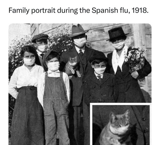 Dawwww