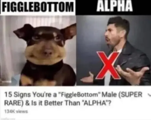 Video titled: 15 Signs You're a "FiggleBottom" Male (SUPER RARE) & Is it Better Than "ALPHA"?